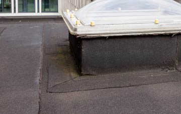 disadvantages of Congl Y Wal flat roofs